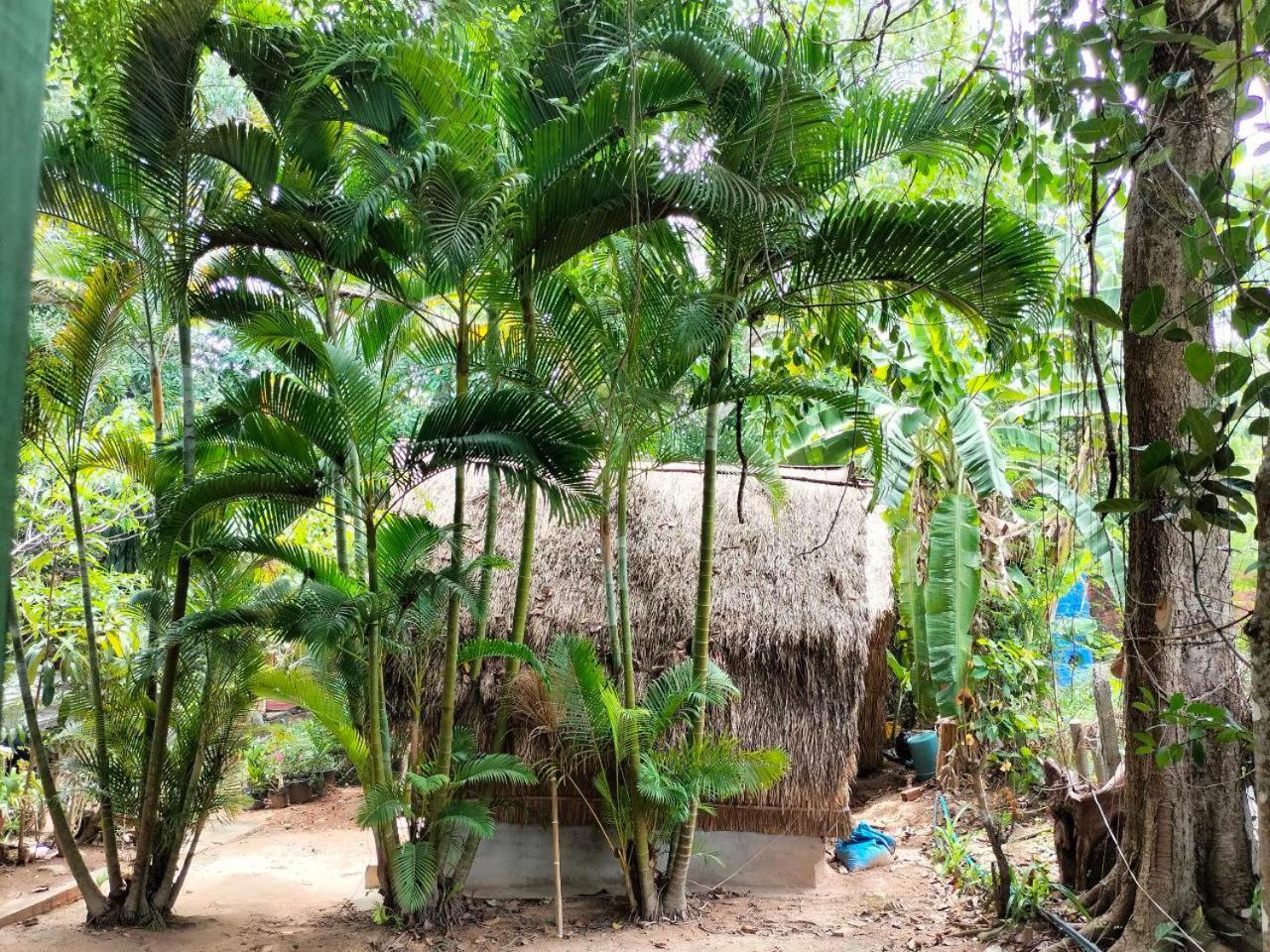Jungle House Kep Apartment Exterior photo
