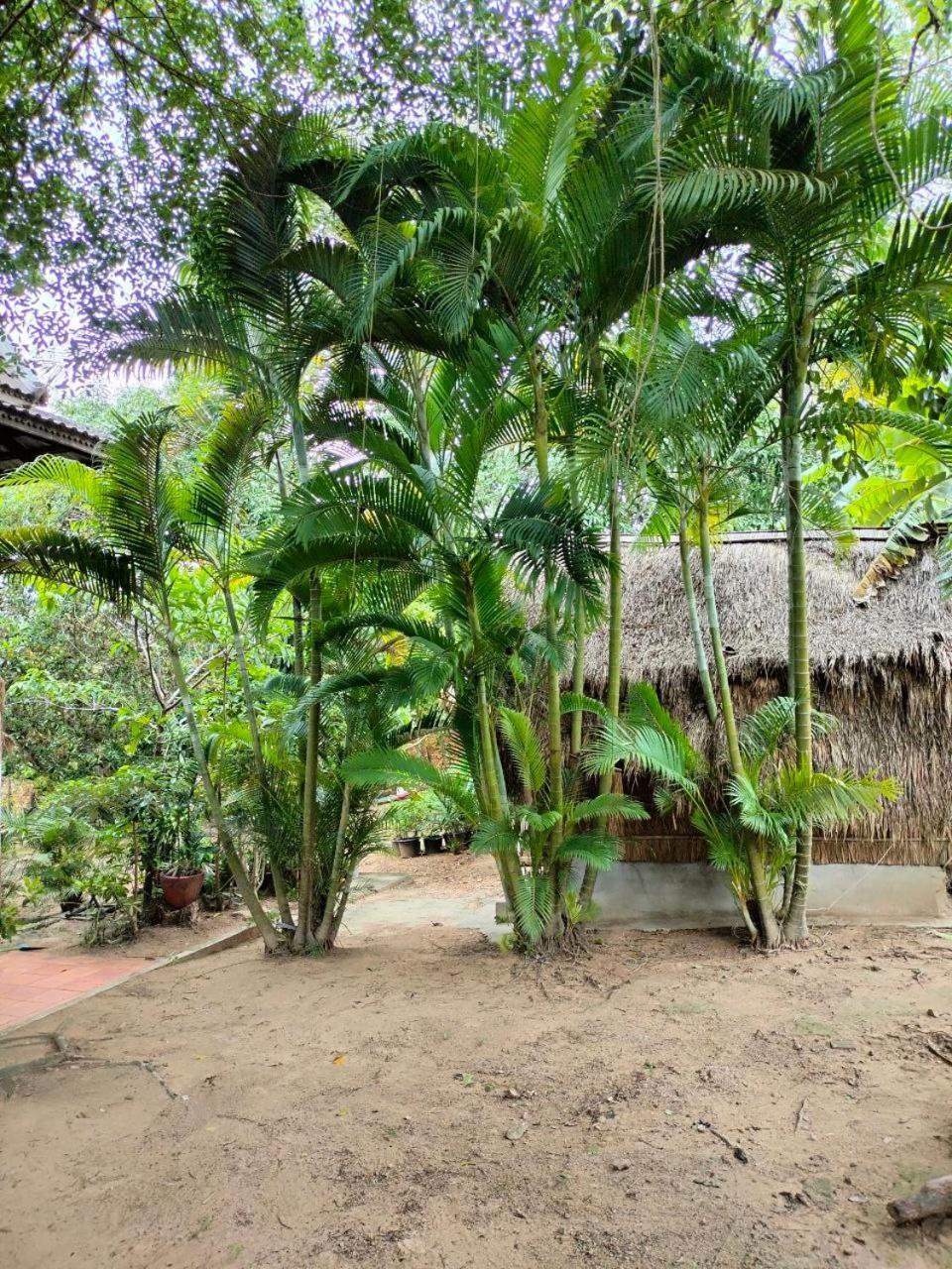 Jungle House Kep Apartment Exterior photo